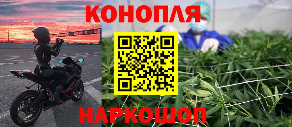 Бахчисарай  МАРИХУАНА OG Kush  Канабис индика  Вход с VPN  Бошки Шишки планчик 